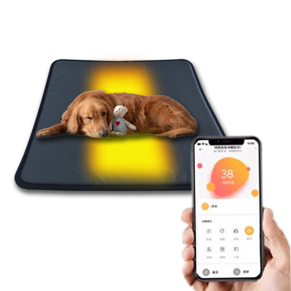 WiFi remote control heating pad